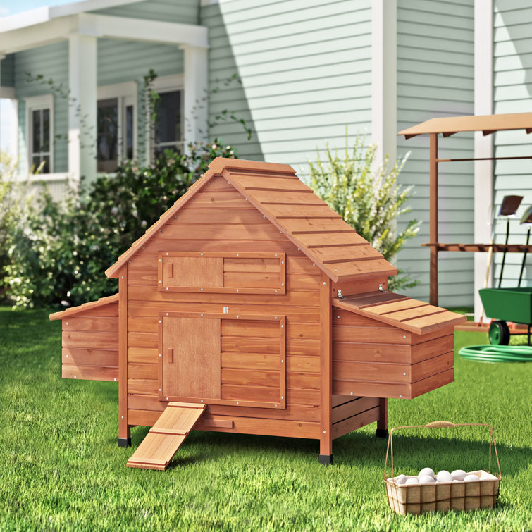 Archie & Oscar™ Helen Chicken Coop with Chicken Run For Up To 4